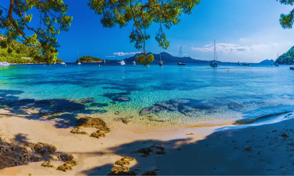 Canarias y Baleares