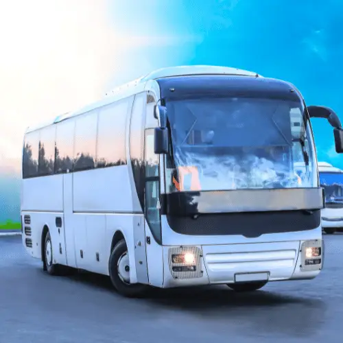 Transporte y traslados